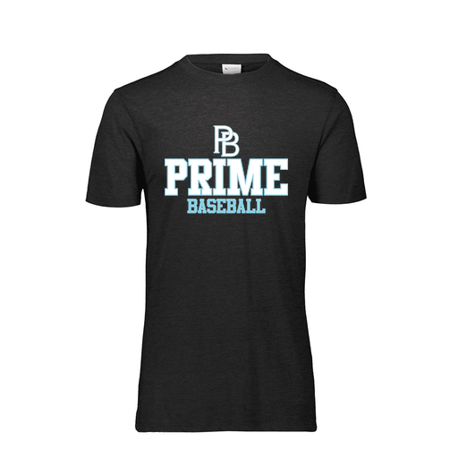 [FTSCUBBK-AS-LOGO2] Decker Men's Tri-Blend T-Shirt - Short Sleeve (Adult S, Black, Logo 2)